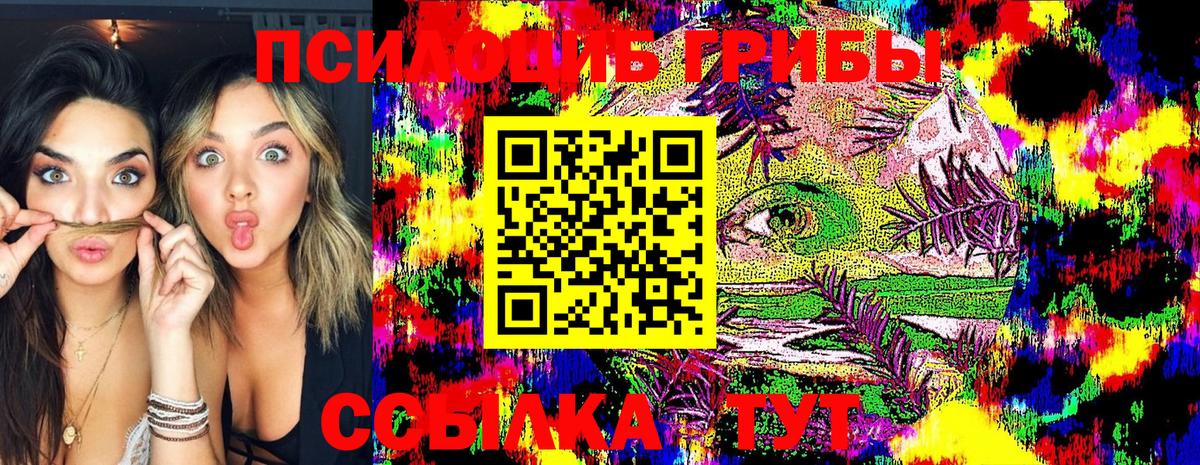 Галлюциногенные грибы GOLDEN TEACHER  Вход с VPN  где купить   Кохма 